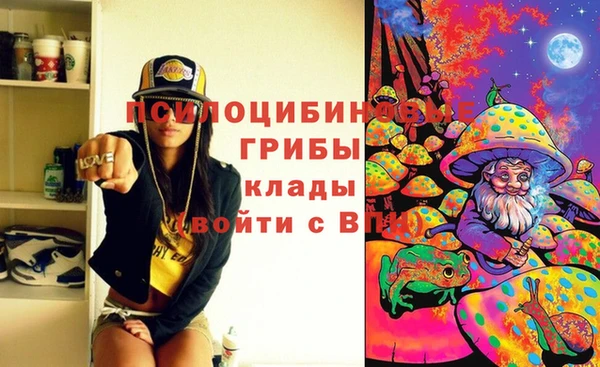 индика Балахна