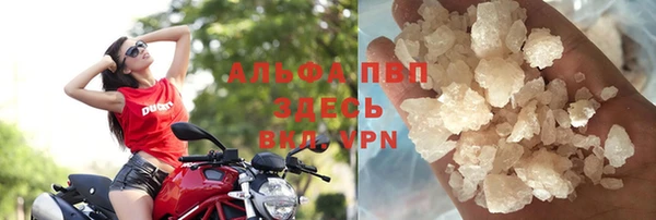 индика Балахна