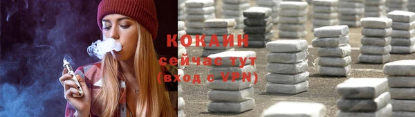 индика Балахна