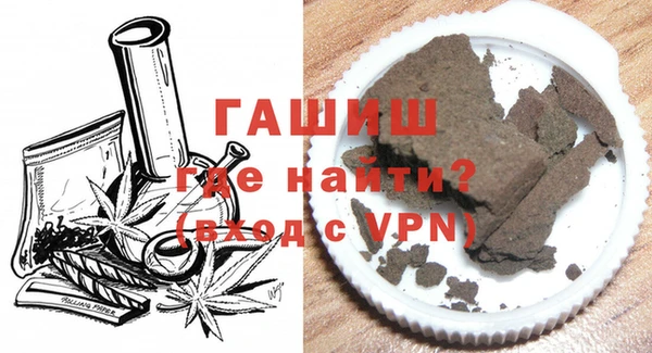 индика Балахна