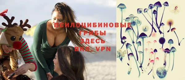 индика Балахна