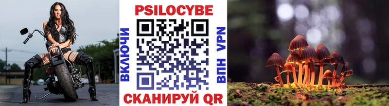 Галлюциногенные грибы MAGIC MUSHROOMS KRAKEN как зайти Печора где купить наркотик