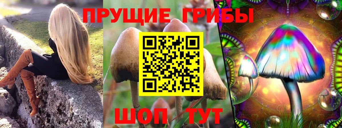 Печора  Галлюциногенные грибы ЛСД  Вход с VPN 